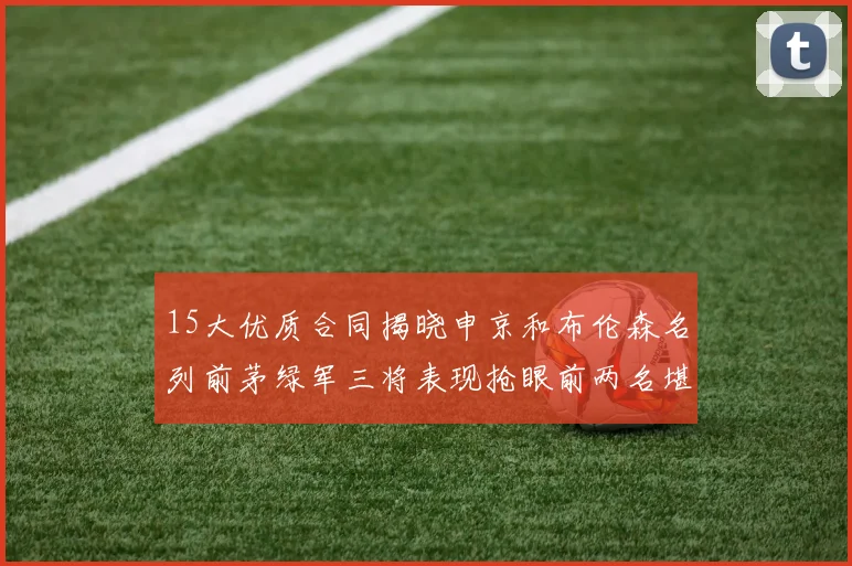 15大优质合同揭晓申京和布伦森名列前茅绿军三将表现抢眼前两名堪称传奇