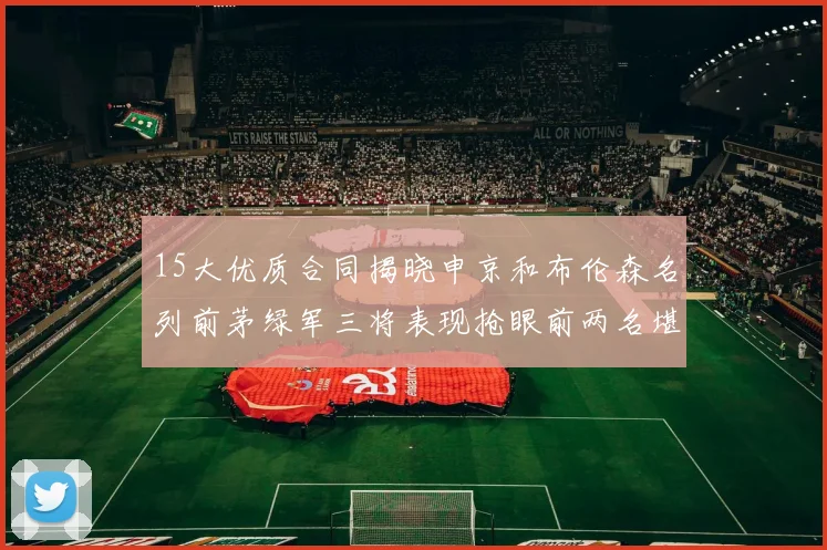 15大优质合同揭晓申京和布伦森名列前茅绿军三将表现抢眼前两名堪称传奇