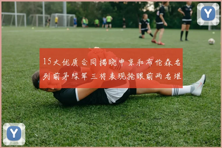 15大优质合同揭晓申京和布伦森名列前茅绿军三将表现抢眼前两名堪称传奇