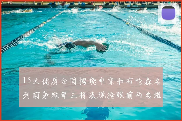 15大优质合同揭晓申京和布伦森名列前茅绿军三将表现抢眼前两名堪称传奇