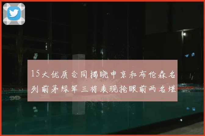 15大优质合同揭晓申京和布伦森名列前茅绿军三将表现抢眼前两名堪称传奇