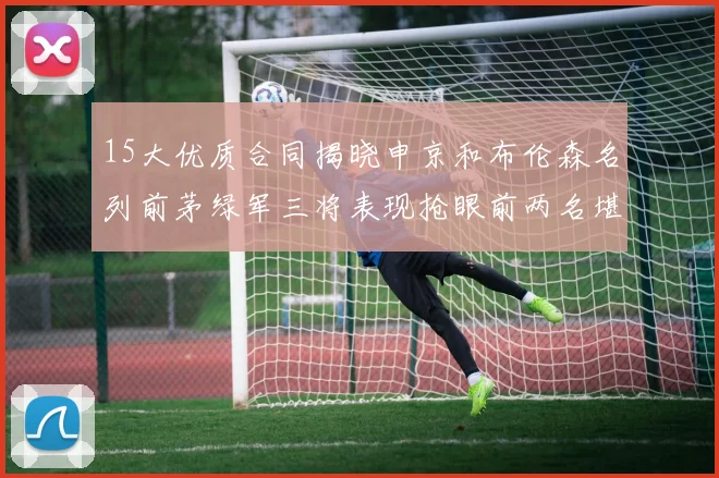 15大优质合同揭晓申京和布伦森名列前茅绿军三将表现抢眼前两名堪称传奇