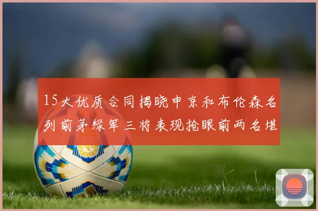 15大优质合同揭晓申京和布伦森名列前茅绿军三将表现抢眼前两名堪称传奇