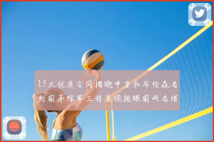 15大优质合同揭晓申京和布伦森名列前茅绿军三将表现抢眼前两名堪称传奇
