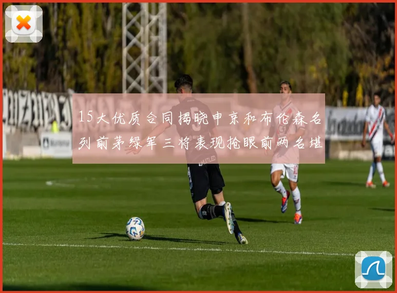 15大优质合同揭晓申京和布伦森名列前茅绿军三将表现抢眼前两名堪称传奇