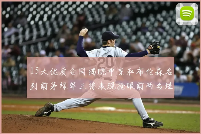 15大优质合同揭晓申京和布伦森名列前茅绿军三将表现抢眼前两名堪称传奇