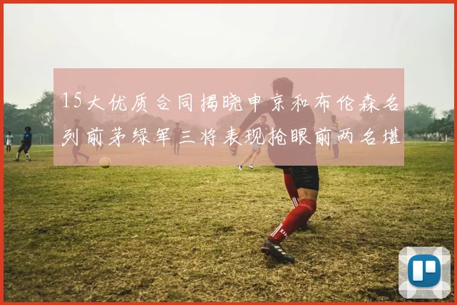 15大优质合同揭晓申京和布伦森名列前茅绿军三将表现抢眼前两名堪称传奇