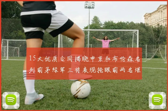 15大优质合同揭晓申京和布伦森名列前茅绿军三将表现抢眼前两名堪称传奇