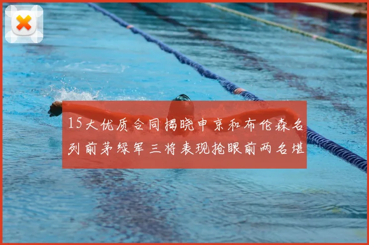 15大优质合同揭晓申京和布伦森名列前茅绿军三将表现抢眼前两名堪称传奇