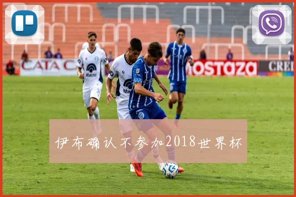 伊布确认不参加2018世界杯