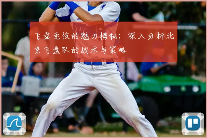 飞盘竞技的魅力揭秘：深入分析北京飞盘队的战术与策略
