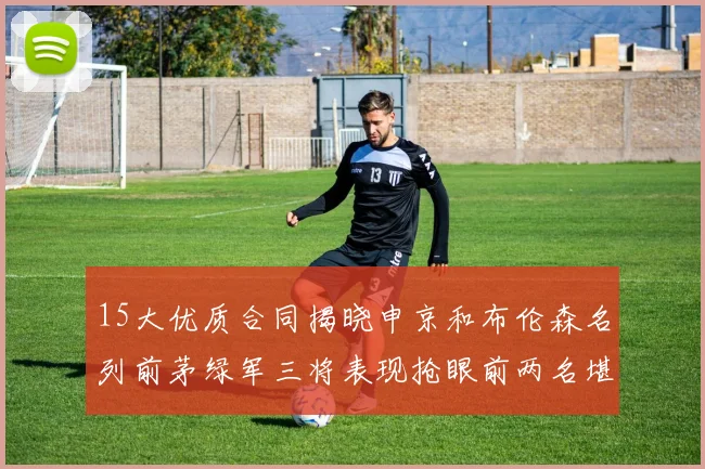 15大优质合同揭晓申京和布伦森名列前茅绿军三将表现抢眼前两名堪称传奇