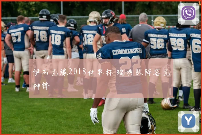 伊布无缘2018世界杯 瑞典队阵容无神锋