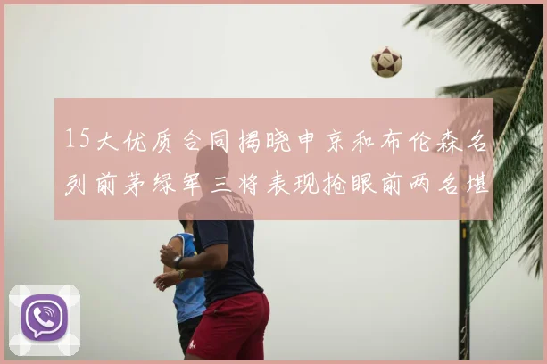 15大优质合同揭晓申京和布伦森名列前茅绿军三将表现抢眼前两名堪称传奇