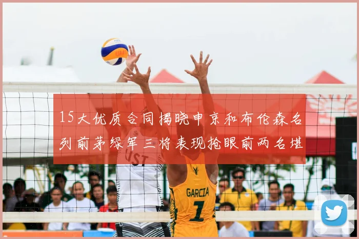 15大优质合同揭晓申京和布伦森名列前茅绿军三将表现抢眼前两名堪称传奇