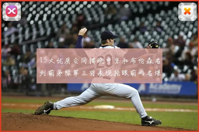 15大优质合同揭晓申京和布伦森名列前茅绿军三将表现抢眼前两名堪称传奇