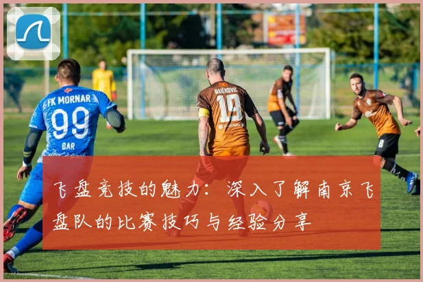 飞盘竞技的魅力：深入了解南京飞盘队的比赛技巧与经验分享