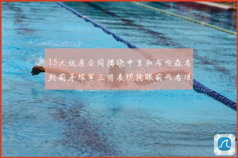 15大优质合同揭晓申京和布伦森名列前茅绿军三将表现抢眼前两名堪称传奇