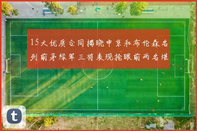 15大优质合同揭晓申京和布伦森名列前茅绿军三将表现抢眼前两名堪称传奇