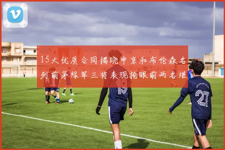 15大优质合同揭晓申京和布伦森名列前茅绿军三将表现抢眼前两名堪称传奇