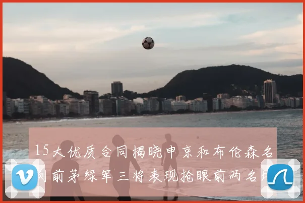 15大优质合同揭晓申京和布伦森名列前茅绿军三将表现抢眼前两名堪称传奇