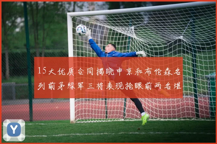 15大优质合同揭晓申京和布伦森名列前茅绿军三将表现抢眼前两名堪称传奇
