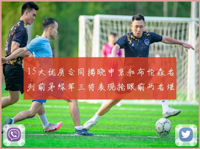 15大优质合同揭晓申京和布伦森名列前茅绿军三将表现抢眼前两名堪称传奇