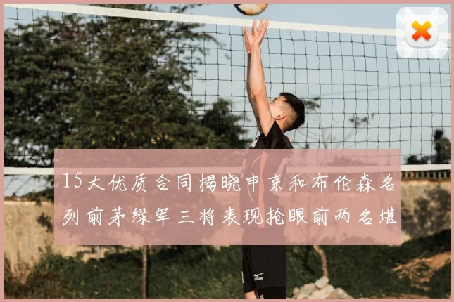 15大优质合同揭晓申京和布伦森名列前茅绿军三将表现抢眼前两名堪称传奇