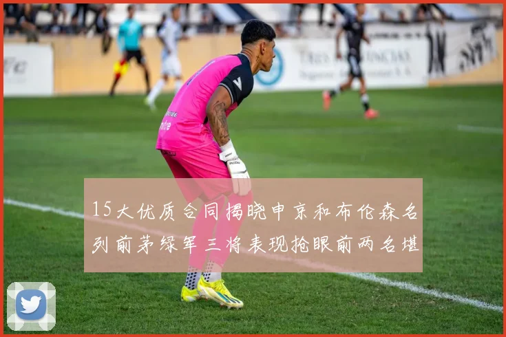 15大优质合同揭晓申京和布伦森名列前茅绿军三将表现抢眼前两名堪称传奇