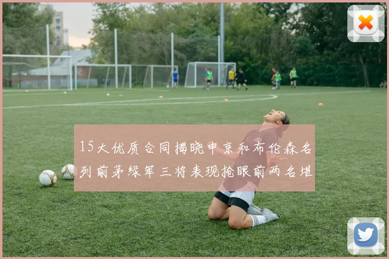15大优质合同揭晓申京和布伦森名列前茅绿军三将表现抢眼前两名堪称传奇