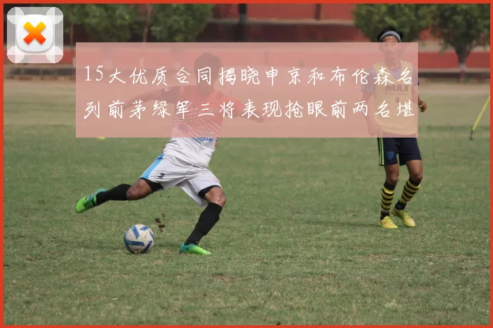 15大优质合同揭晓申京和布伦森名列前茅绿军三将表现抢眼前两名堪称传奇