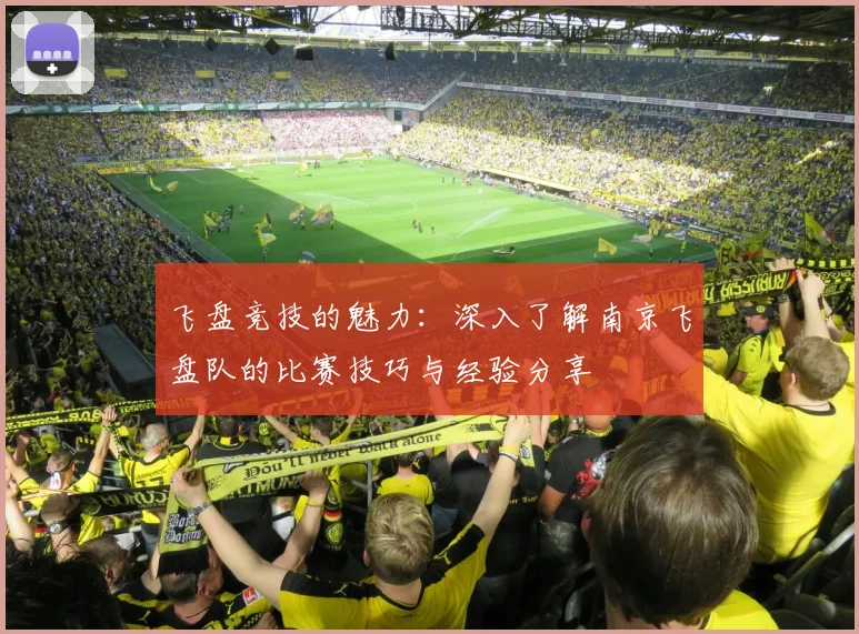 飞盘竞技的魅力：深入了解南京飞盘队的比赛技巧与经验分享