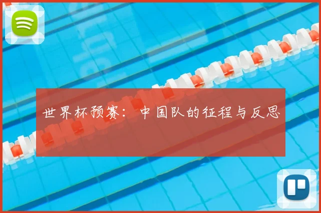 世界杯预赛：中国队的征程与反思