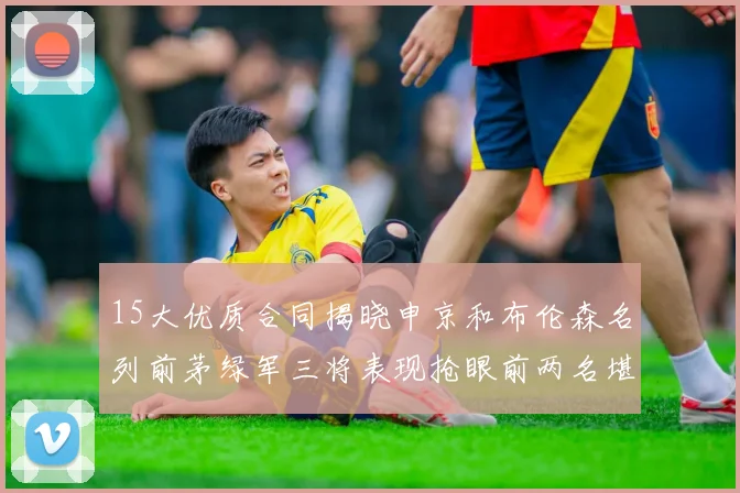 15大优质合同揭晓申京和布伦森名列前茅绿军三将表现抢眼前两名堪称传奇