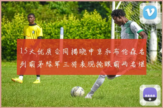 15大优质合同揭晓申京和布伦森名列前茅绿军三将表现抢眼前两名堪称传奇