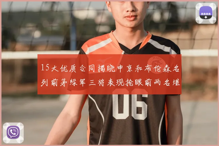 15大优质合同揭晓申京和布伦森名列前茅绿军三将表现抢眼前两名堪称传奇