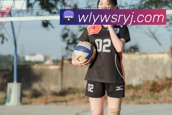 对战数据统计